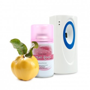 Kimspp 프리미엄 아로마플러스 방향제 250ml(모과향)+자동분사기+건전지 실내공간 화장실방향제