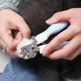 강아지 발톱깍기 고양이 발톱깍이 세트 용품 강아지 손톱