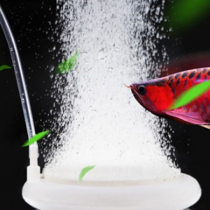 큰 어항 에어 디퓨저 50mm 100mm 기포 콩돌 확산기