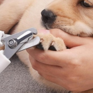 발톱깍기 고양이 세트 발톱깍이 고양이 반려동물 강아지세트 깎이 펫