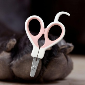 강아지 발톱 깎이 고양이 셀프 손톱 가위